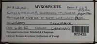 Image Associated With the Occurence